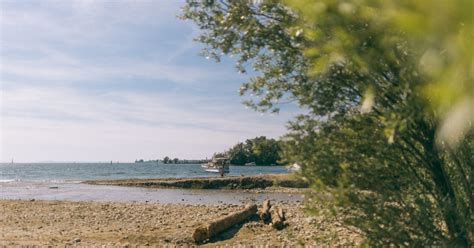 Hundestrand Lochau | Urlaub am Bodensee, Vorarlberg
