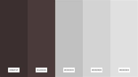 The Best 15 Wenge Color Palette Combinations