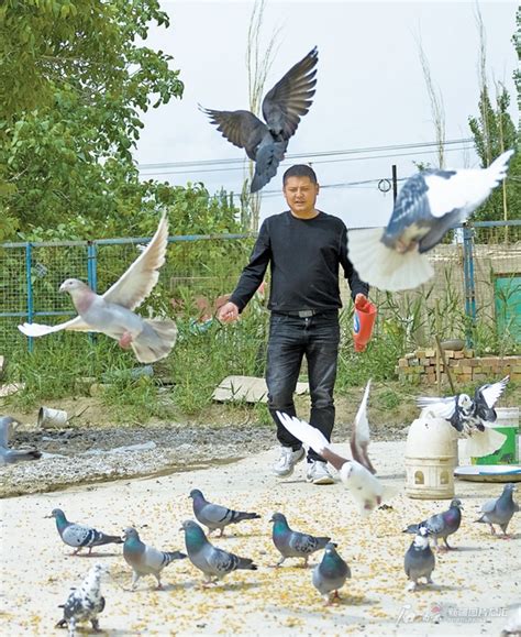 天成之名，远飘他乡——新疆、内蒙养鸽户来参观学习_种鸽-肉鸽-天成鸽业养殖基地