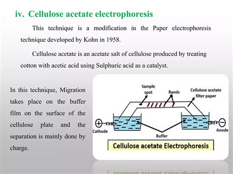 Image result for Class 8 Computer Science Notes