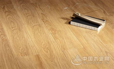圣菲亚发热地板优势和对人体有益功能介绍-中国木业网