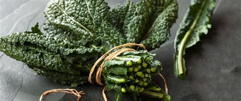 What Is A Serving Of Raw Kale at Felipe Correa blog