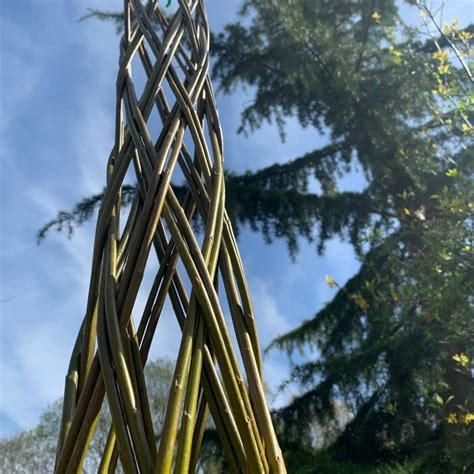 Living Willow Workshops, Flanchford Road, Reigate, 9 February 2024 ...