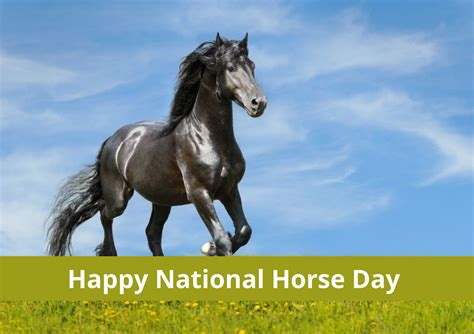 National horse day (National horse day 2021)