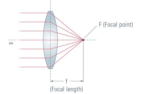 Optical Microscope Basics 的图像结果