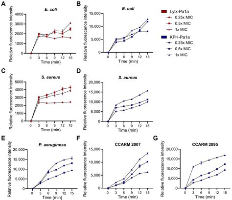 In Silico-Based Design of a Hybrid Peptide with Antimicrobial Activity ...