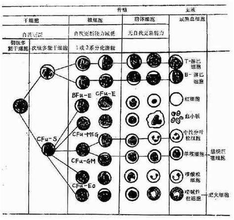 Image result for Easy Experiments with Fire