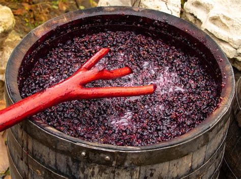Wine Fermentation Process 的图像结果
