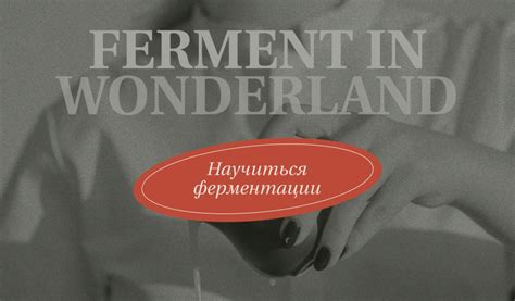 Школа ферментации Ferment in Wonderland