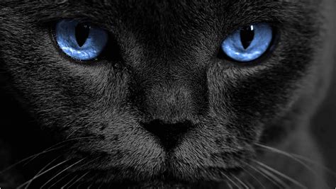 iFFALCON U75 4K UHD Google TV-144Hz Smart TV | iFFALCON India