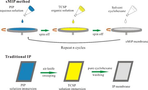 Interfacial Polymerization Process 的图像结果