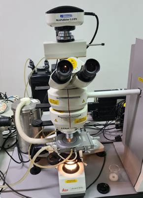 Image result for High Magnification Microscope