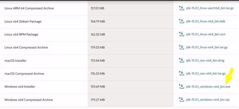 Image result for Java Runtime Environment 1.6.0 Error