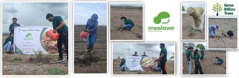 Mealawe’s Sustainable Food Revolution: Every Order Contributes to a ...