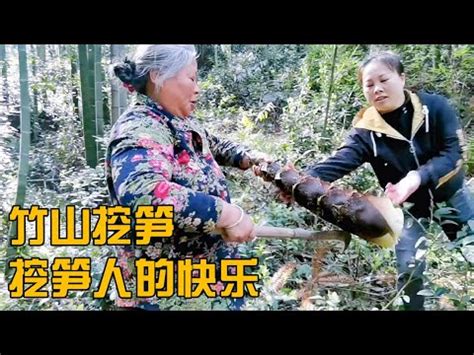 上山挖笋，一根接一根地上貨，媳婦挖得好過癮 | Digging bamboo shoots on the mountain, one by one, it