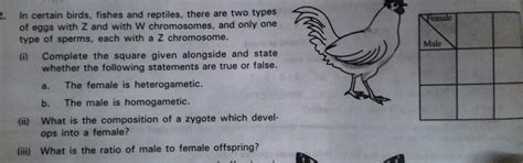 In certain birds, fishes, reptiles, there are two types of eggs with Z ...