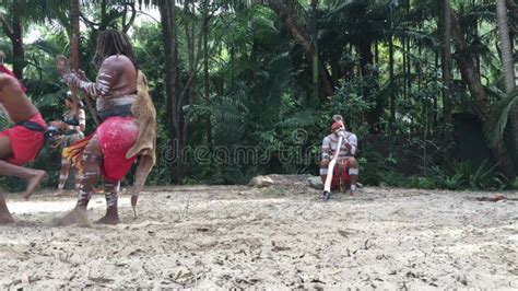 Image result for Australian Aboriginal Dance Tutorial