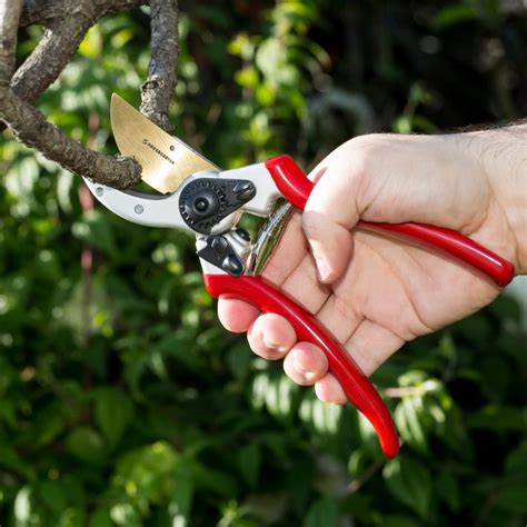 8 Best Pruners Reviews - That Will Trim Your Garden To Precision - Tool Box