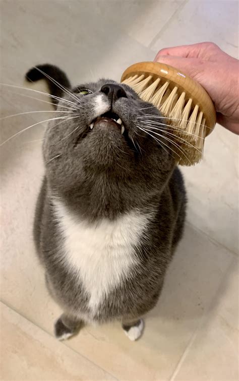 Scouring the internet for word from Merrily : r/Broadway