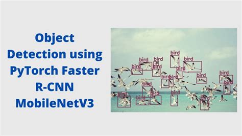 Pytorch Video Object Detection 的图像结果