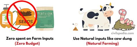 Zero-Budget Natural Farming - civilspedia.com