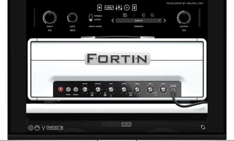 Image result for Neural DSP Back