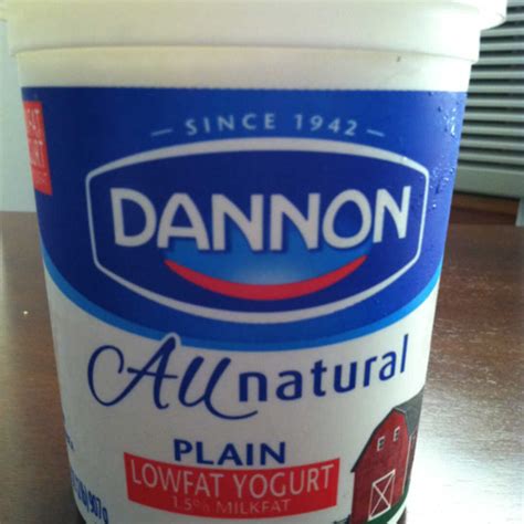 Dannon Plain Yogurt