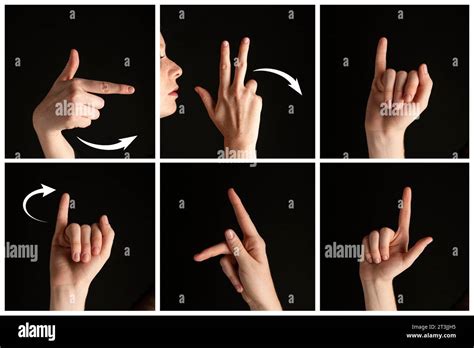 Image result for Sign Language Hand Gestures