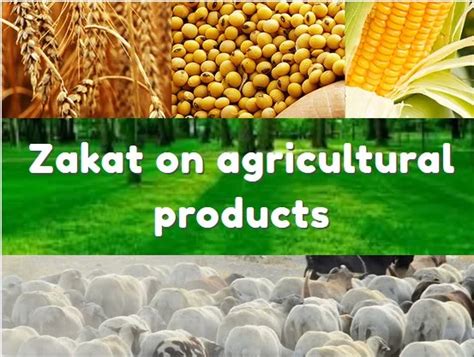 ZAKAT BOARD OF INDIA