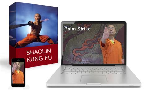 Image result for Shaolin Basic Exercises