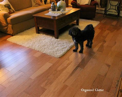 Why I Chose Shaw Engineered Hardwood Flooring for my Living Room ...