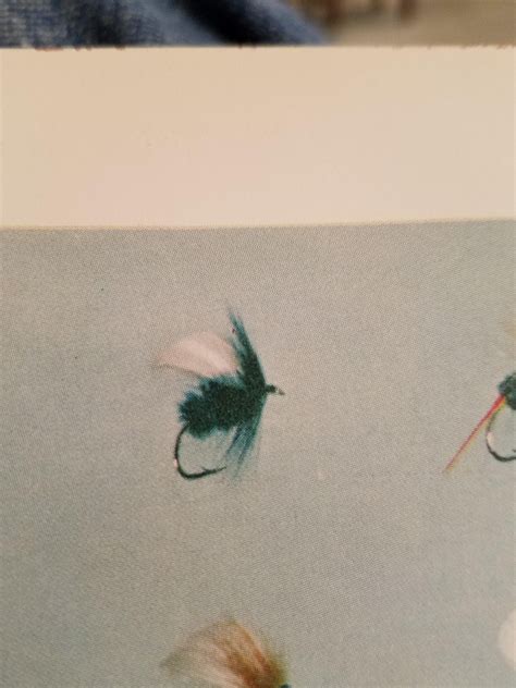 Mullet Fly Pattern 的图像结果