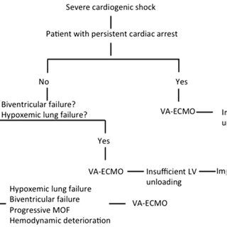 Image result for Cardiogenic Shock Algorithm