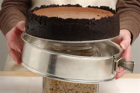 Image result for Leaky Springform Pan