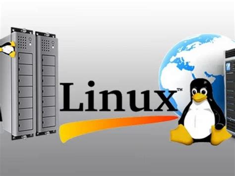 Image result for How Much a Linux Server