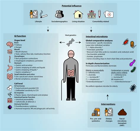 Physiological Effects Of Aging