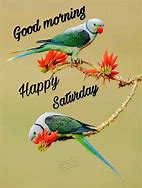 Image result for Good Morning Messages Saturday
