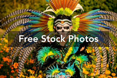 Native Dancer 的图像结果