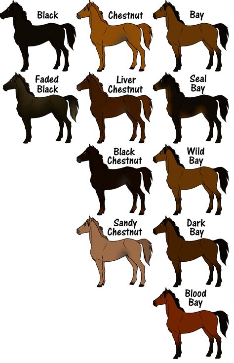 Different Types Of Horse Coat Color at Daniel Gilmore blog