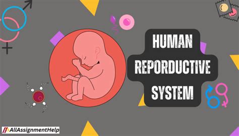 La Reproduction Humaine 的图像结果