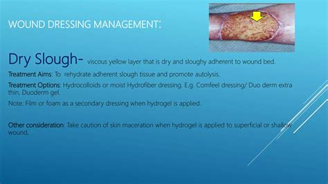 Wound care management | PPTX