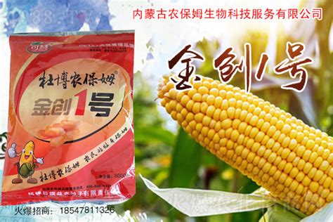 听玉米种子批发讲解如何避免玉米空杆_北京禾佳源农业科技股份有限公司
