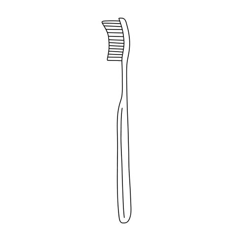 Image result for Toothbrush Syntactic Exploded-View