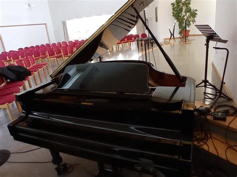 Vleugel - Bechstein kopen. C. Bechstein Flügel, (A 160 Baujahr 2003 ...