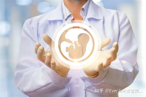 移植囊胚会胎停吗？试管囊胚胎停几率大吗？-上海试管服务机构