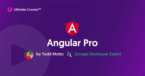 Image result for Angular Pro-Development