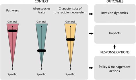 Image result for Alien Invasyndrome Walkthrough