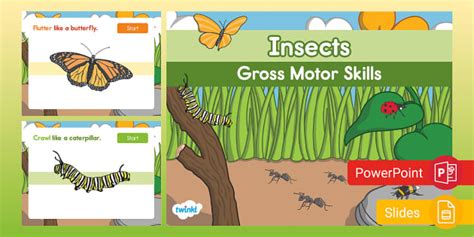 Insects Gross Motor Skills PowerPoint & Google Slides