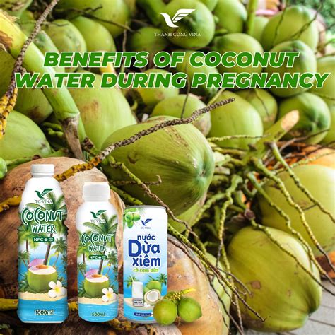 Is Coconut Water Safe During Pregnancy? - Thanh Cong Vina