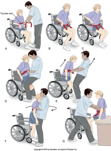 Image result for Step around Transfer with AO2
